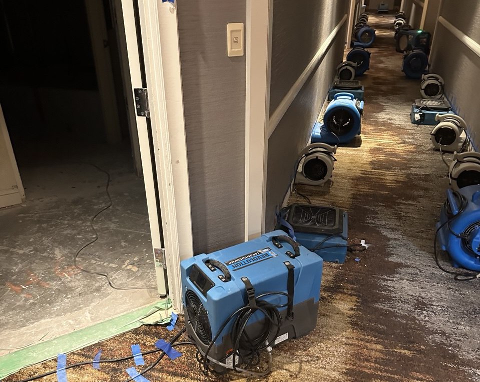 Technician inspecting water damaged floor joists during residential restoration in Vancouver water damage