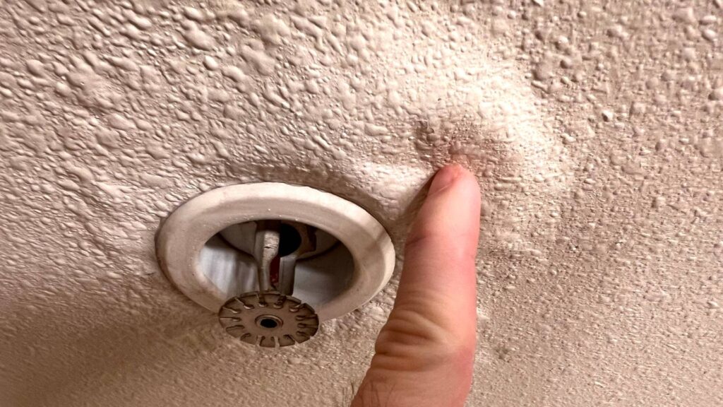 Water Damage in Vancouver Homes and How to Handle It Fast